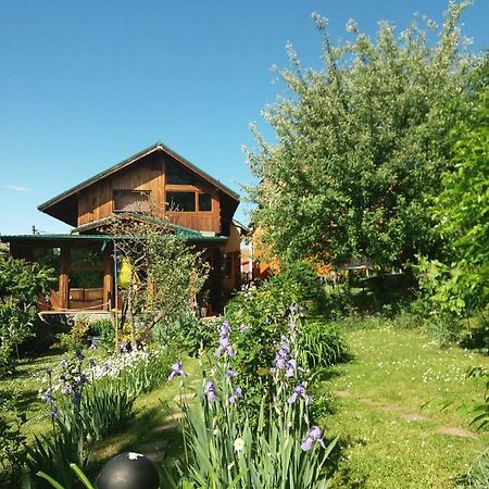 Casa Natalia Hotel Brasov Bagian luar foto