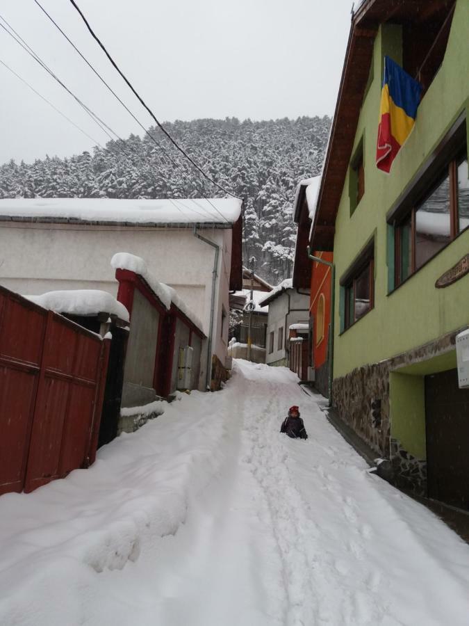 Casa Natalia Hotel Brasov Bagian luar foto
