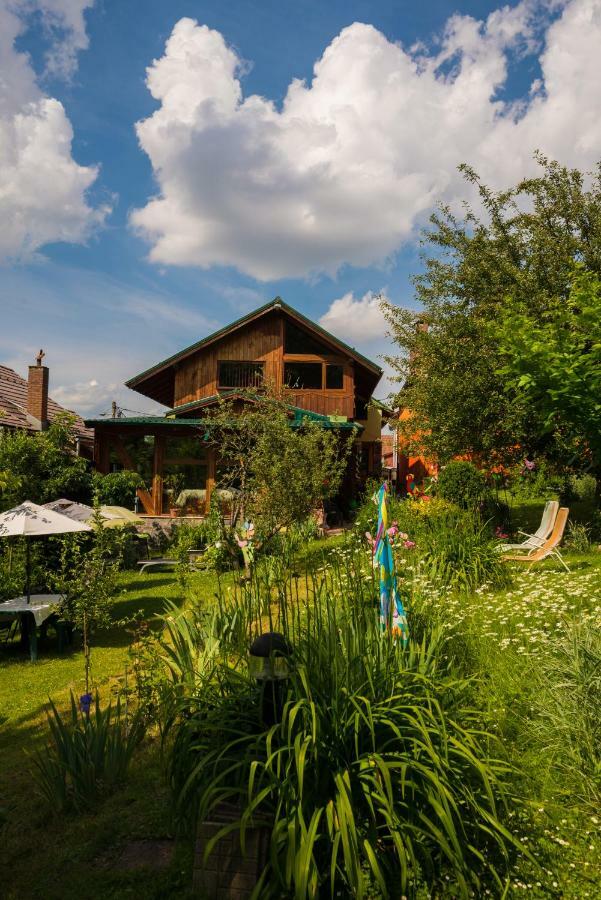 Casa Natalia Hotel Brasov Bagian luar foto