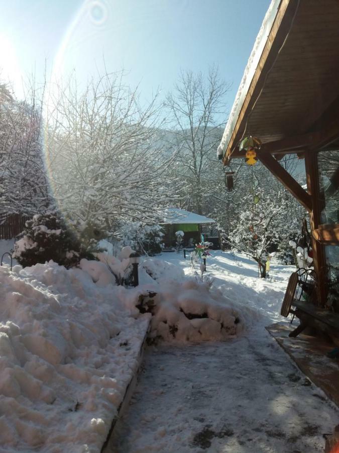 Casa Natalia Hotel Brasov Bagian luar foto
