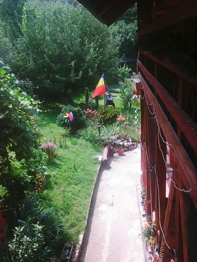 Casa Natalia Hotel Brasov Bagian luar foto