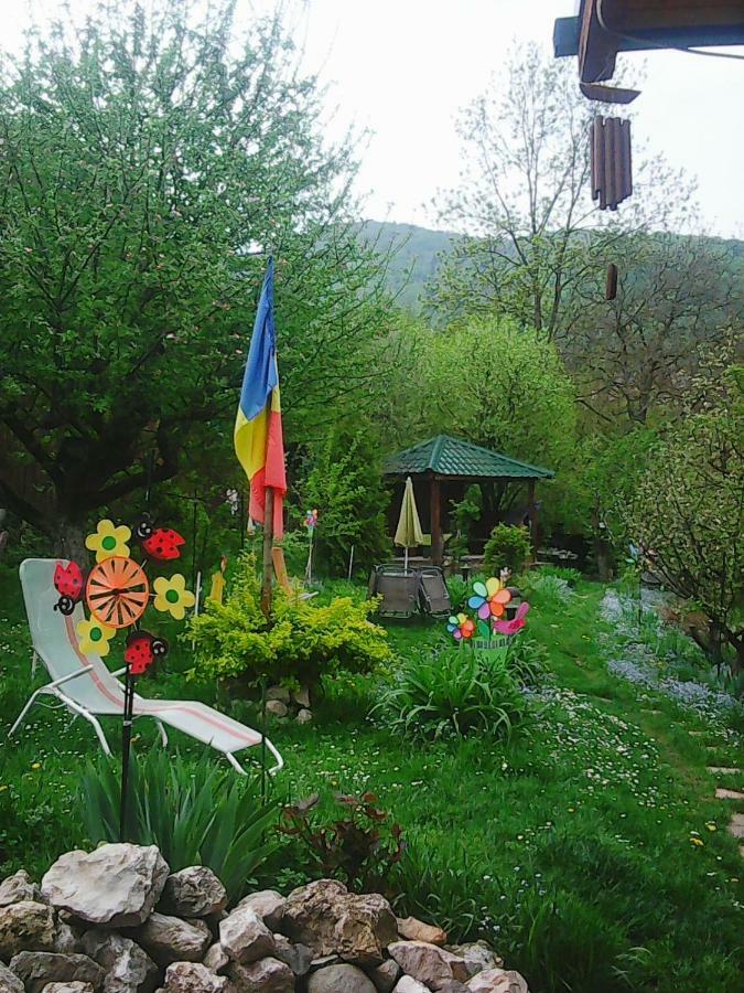 Casa Natalia Hotel Brasov Bagian luar foto