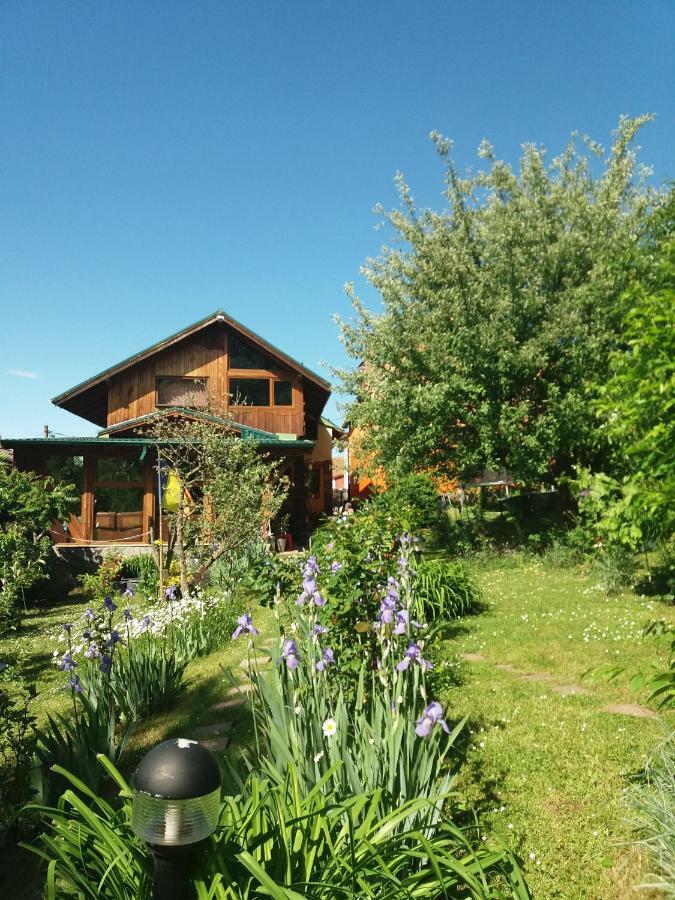 Casa Natalia Hotel Brasov Bagian luar foto